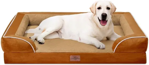 Vista 241 de Comfort Expression - Cama ortopédica para perros pequeños, 20 x 14 pulgadas, cama impermeable y de apoyo de espuma con cojines removibles, sofá