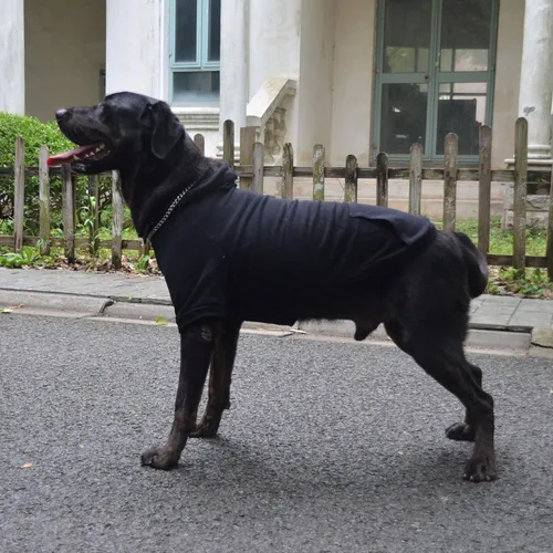 Vista 6 de Lovelonglong Sudadera básica con capucha para perros, 100% algodón, se adapta a perros pequeños, medianos y grandes, color negro, XS