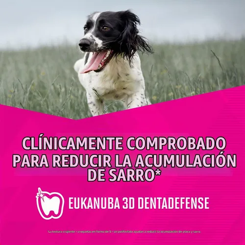 Vista 11 de Eukanuba Alimento seco para perros adultos de alto rendimiento 26/16, bolsa de 4.5 libras