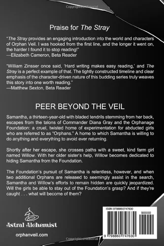 Vista 2 de Orphan Veil The Stray