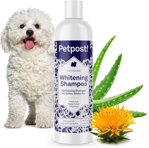 Vista 18 de Petpost Champú de argán para perros. Champú para perros con aceite de argán y aloe. Hidrata la piel seca, suaviza el pelaje, restaura el brillo. 8