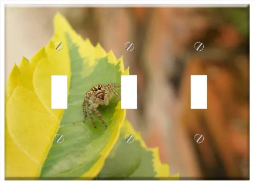 Switch Plate Triple Toggle - Nature Insects Spider The Virginia Quindio