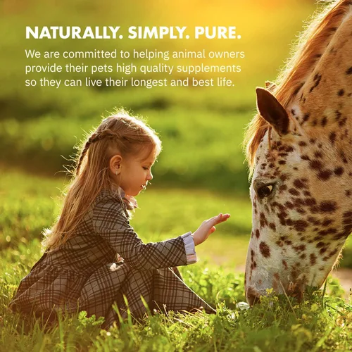Vista 4 de HealthyGut Probióticos para caballos Suplemento dietético, fórmula de mantenimiento del sistema digestivo totalmente natural (90 días)