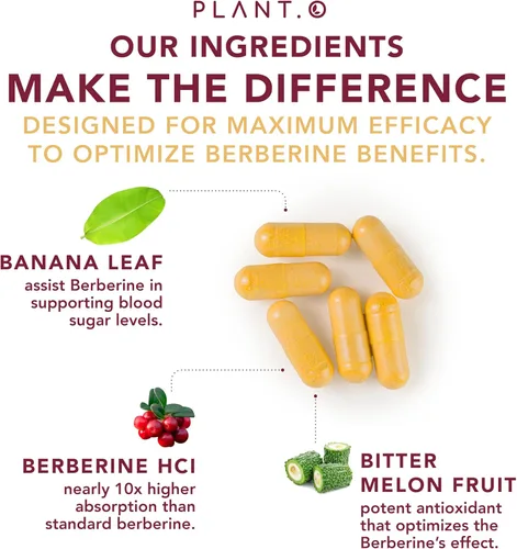 Vista 4 de PLANT.O NUTRITION Suplemento de berberina - Complejo HCI de berberina de absorción 10 veces mayor con limón amargo y hoja de banaba - Colesterol
