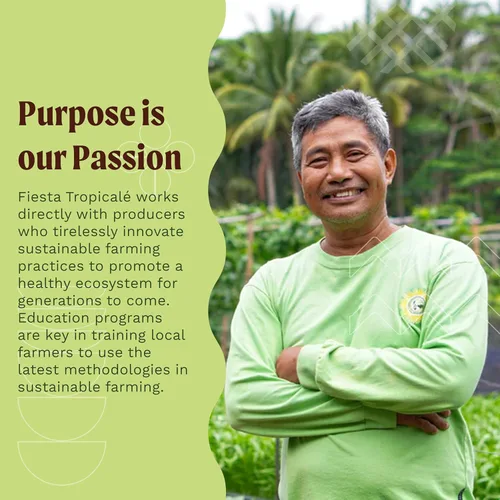 Vista 9 de Fiesta Tropicalé Aceite de coco orgánico 100% natural, 14 onzas líquidas, aceite de coco virgen extra puro sin refinar, rico en MCT, prensado