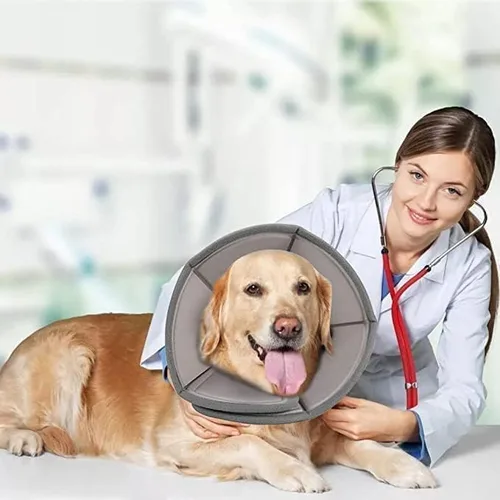 Vista 7 de Collar de cono de perro suave, cono de recuperación de mascotas para perros y gatos, collar ligero de recuperación para perros, collar protector