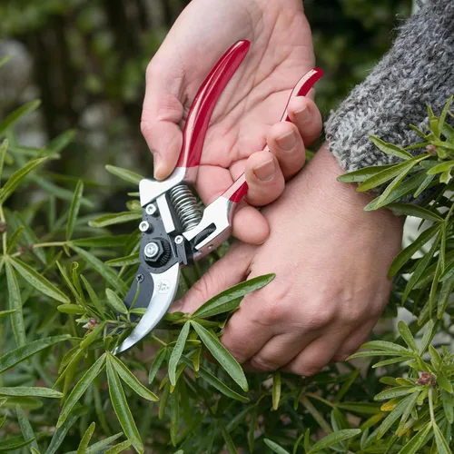 Vista 2 de Spear & Jackson 6160BS/09 Razorsharp - Podadoras de derivación premium, color rojo