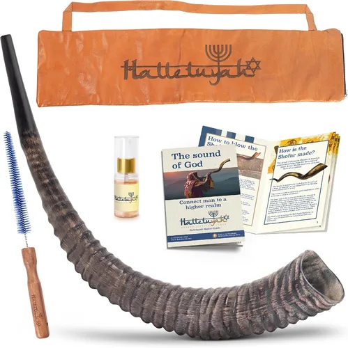 HalleluYAH Shofar Original Sable Horn 24"-28" | De Israel