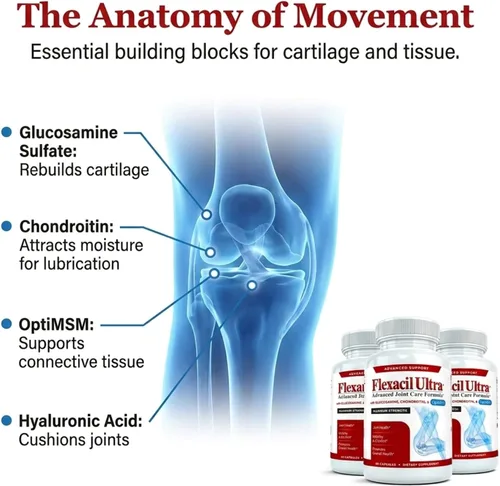 Vista 6 de Joint Support Glucosamina Sulfato Condroitina MSM, 60 Caps