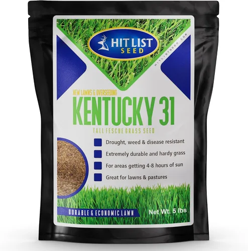 Kentucky 31 K31 - Semilla de hierba alta de festuca, 5 libras, tolerante a la sequía, resistente y tolerante al abuso, excelente forraje, semillas