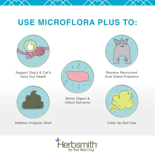 Vista 3 de Herbsmith Microflora Plus – Ayuda a la digestión del perro – Probióticos y enzimas digestivas para perros – Prebiótico para perros – 30 cápsulas