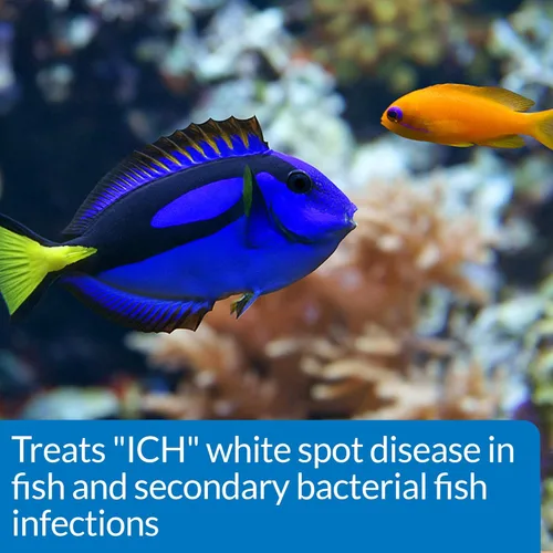 Vista 4 de API Liquid Super ICK Cure - Remedio para peces de agua dulce y salada (paquete de 1) y sal de acuario API Sal de acuario de agua dulce, caja de 33