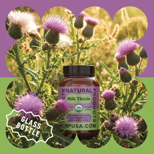 Vista 4 de Complete Natural Products Cápsulas puras de cardo mariano orgánico - 500 mg de polvo de silimarina 100 píldoras