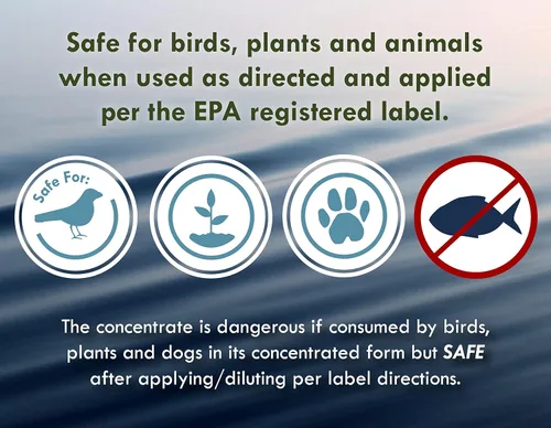 Vista 5 de Algicida y Clarificante para Fuentes - 8oz - Mata e Inhibe Todos los Tipos de Crecimiento de Algas, Formulado para Pequeños Estanques