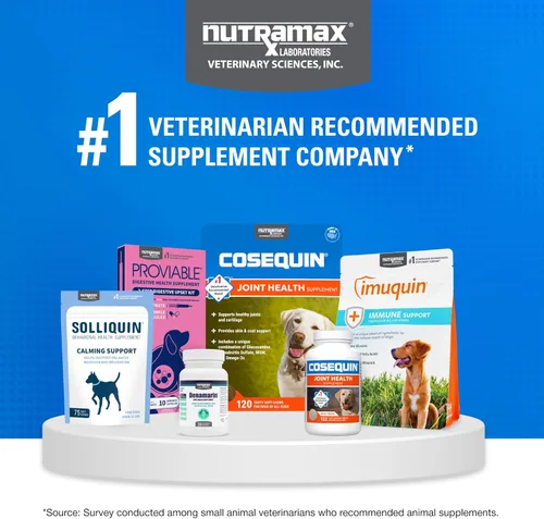 Vista 9 de Nutramax Laboratories Cosequin Plus MSM & Boswellia - Masticables suaves de tamaño mini