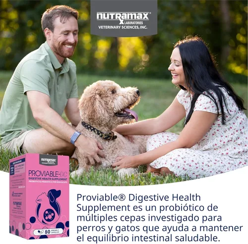 Vista 3 de Nutramax Proviable Probióticos para Perros y Gatos, Suplemento Diario para la Salud Digestiva con Múltiples Cepas de Bacterias, Probióticos