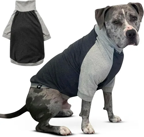 Tooth & Honey Camisa para perros medianos – Algodón transpirable y elastano sin botones con cobertura completa debajo del vientre – Gris para