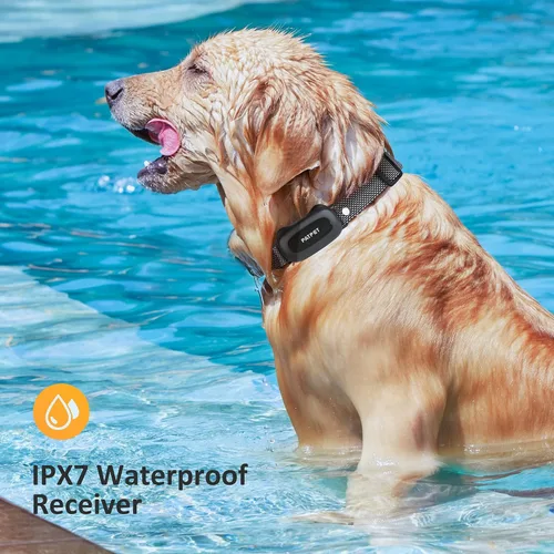 Vista 4 de PATPET Collar de choque para perros con control remoto, collar de entrenamiento impermeable para perros pequeños, medianos y grandes con pitido