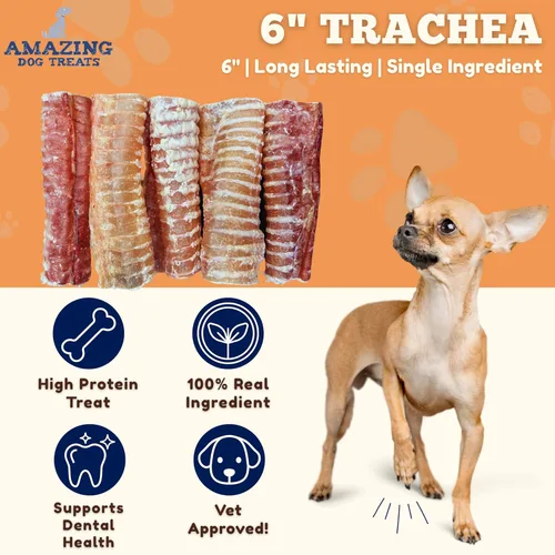 Vista 2 de Amazing Dog Treats - Masticables para perros con tráquea de carne de res de 6 pulgadas (5 piezas - 8 onzas) - Golosinas para perros de tráquea - SIN