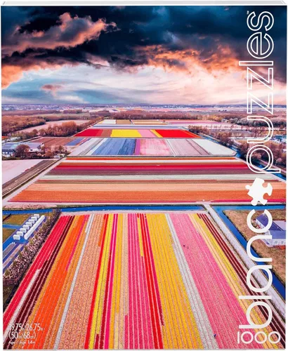 Vista 4 de Buffalo Games - Blanc - Kristina Makeeva - Infinity Fields of the Netherlands - Rompecabezas de 1000 piezas para adultos - Rompecabezas desafiante