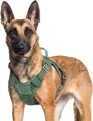 Vista 26 de rabbitgoo - Arnés para perros pequeño sin tirones, chaleco táctico de servicio con Molle y asa de control, arnés militar ajustable y reflectante