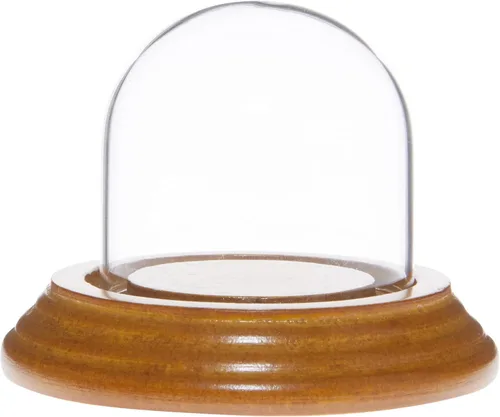 Vista 5 de Plymor Mini cúpula de cristal de 2 x 2 pulgadas (base de chapa de madera negra)