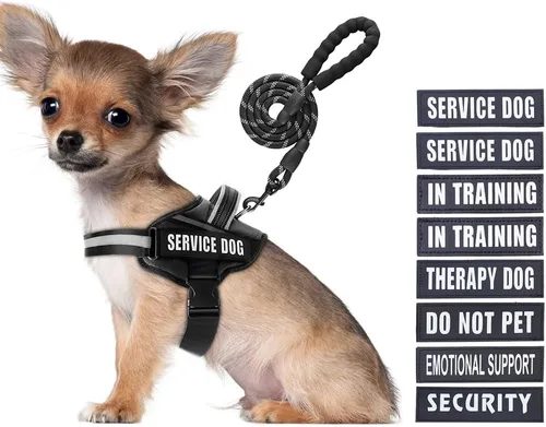 Vista 29 de Juego de Chaleco y Correa para Perro de Servicio, Arnés de Entrenamiento Animire para Perro con 10 Parches para Perros, Correa Reflectante