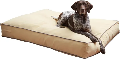 Vista 29 de South Pine Porch Buddy - Cama rectangular reversible de microfibra para perro con funda extraíble, lavable a máquina, cacao, extra pequeña