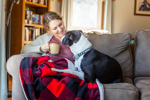 Vista 10 de Land O Lakes - Mezcla clásica para hacer chocolate caliente