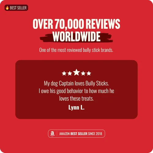 Vista 3 de Natural Farm Bully Sticks sin olor (4 pulgadas, 16 onzas) masticables totalmente naturales de larga duración, 100% pene de res, alimentado