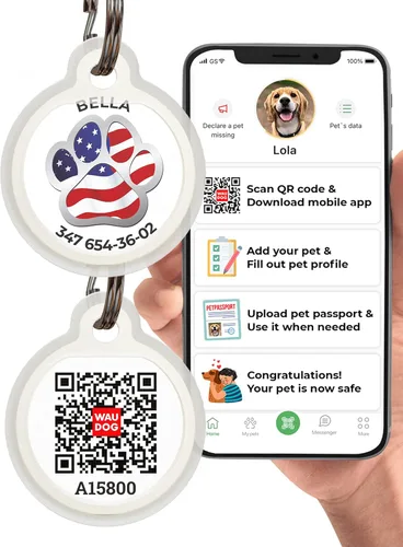 Vista 8 de Etiquetas personalizadas para perros y mascotas, etiqueta de identificación de perro de silicona, etiquetas de identificación de mascotas con código