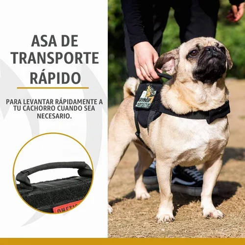 Vista 4 de Arnés para cachorros, arnés para perro pequeño con asa, arnés sin tirones para perros pequeños y gatos (XXS)
