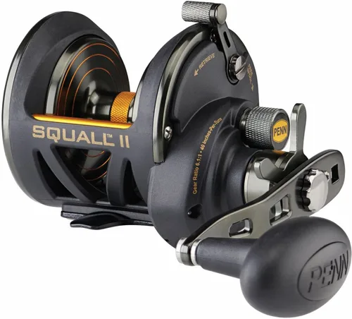 Vista 2 de PENN Squall II Star Drag - Carrete de pesca convencional
