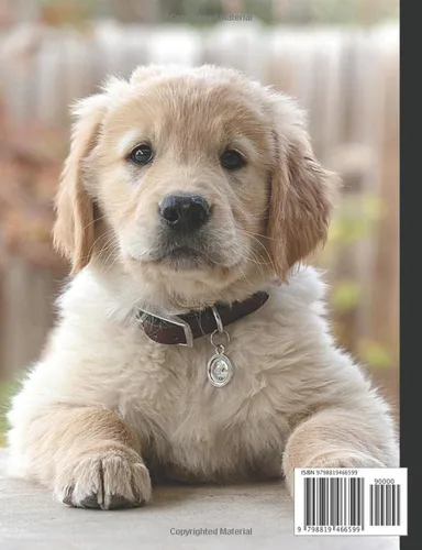 Vista 2 de Composition Notebook Golden Retriever Puppy Dog Notebook and Journal for Students, Kids Gift, Diary for Dog Lovers 7.44 x 9.69 Wide Ruled 110