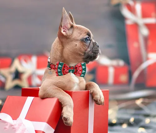 Vista 5 de Collar de Navidad para perro con pajarita, collar de perro de copo de nieve con tira roja y verde, suave, duradero, ajustable, de algodón