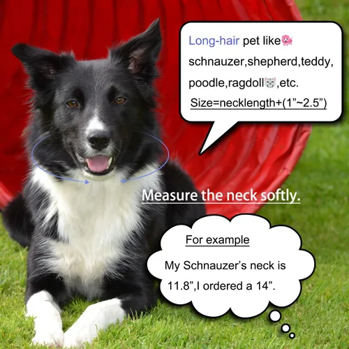 Vista 4 de Collar de oro para perro de 0.787 in, cadena de eslabones cubanos de circón, hecha a mano, diamante exagerado, dije de dólar de matón exagerado