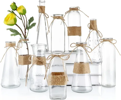 MDLUU Jarrón de cristal transparente a granel, 10 botellas de vidrio decorativas surtidas con cuerda, tarro vintage de diferentes tamaños para