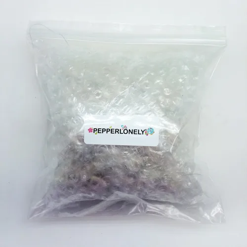 Vista 4 de PEPPERLONELY 25 conchas marinas de Cowrie de dinero, conchas Monetaria Monta, 3/4 pulgadas ~ 1-1/2 pulgadas