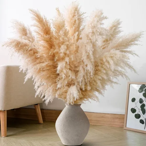 10 tallos de hierba de las pampas de 40 pulgadas de alto en color beige natural, añade un toque bohemio a tu espacio: hierba de las pampas ideal