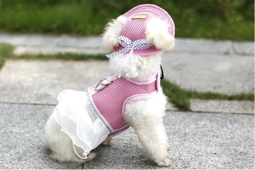 Vista 5 de Gorra pequeña de princesa para mascotas, para exteriores, para perro, gato, ocio, protección solar, visera de protección solar, para verano