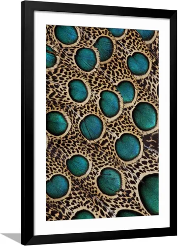 Vista 7 de ART.COM Darrell Gulin - Póster enmarcado para pared, plumas de pavo real malayo con círculos azules por Darrell Gulin, decoración de animales, 12 x