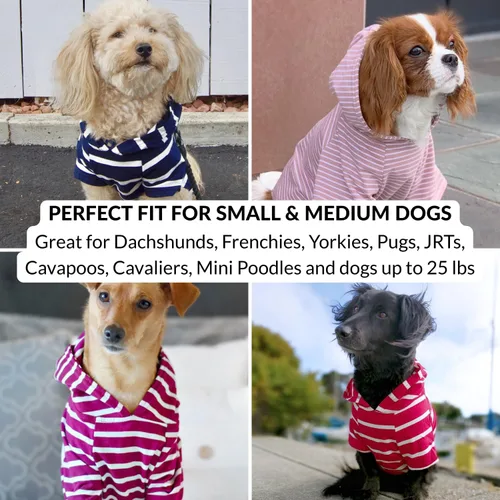 Vista 8 de DJANGO Sudadera con capucha para perro, suave, elástica y acogedora para perros, suéteres negros de invierno para perros salchicha y perros