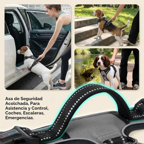 Vista 5 de PHOEPET Arnés sin tirones para perro, reflectante, ajustable, con 2 ganchos de metal para correa y asa de entrenamiento suave