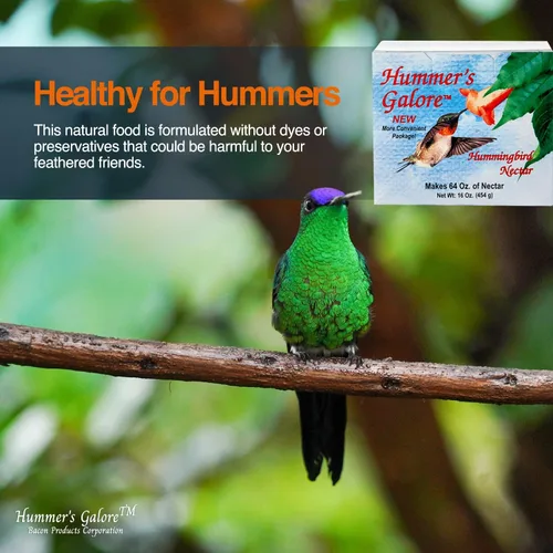 Vista 7 de Hummer's Galore Alimento para colibríes, néctar de colibrí listo para mezclar, fórmula colectora de néctar totalmente natural, sin conservantes ni