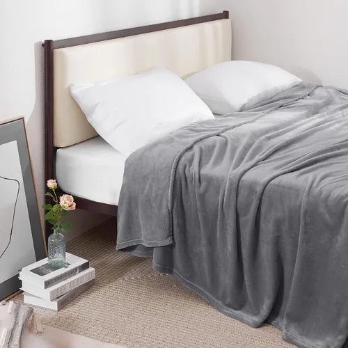RYB HOME Manta suave tamaño Queen de franela de forro polar, ligera, cálida y acogedora, color gris claro, manta de viaje para camping, para sofá y