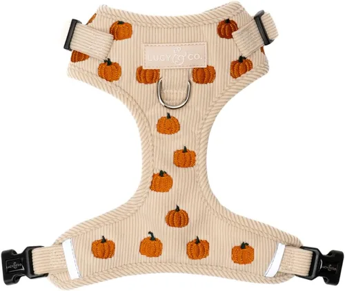 Vista 16 de Lucy & Co. Appley Ever After - Arnés de pana para perro, sin tirones, talla Appley Ever After Corduroy