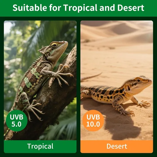 Vista 6 de Luz de reptil UVA UVB - 15W 5.0, terrario tropical y subtropical lámpara fluorescente compacta, bombilla de reptil UVB para serpientes, camaleones
