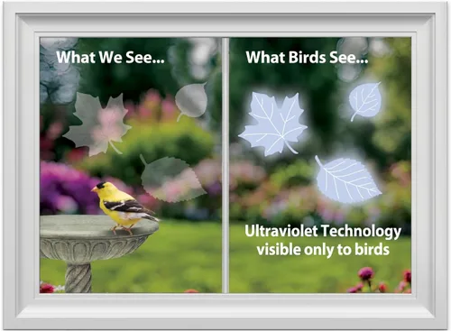 Vista 2 de WindowAlert - Calcomanías anticolisión para pájaros – Calcomanía transparente para ventana para proteger a las aves silvestres de colisiones contra