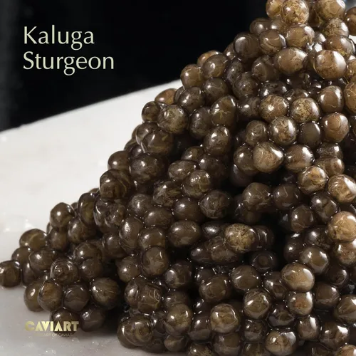 Vista 5 de Kaluga Sturgeon Caviar, Caviart Supreme Sturgeon Roe, Malossol 1 oz 0.99 oz