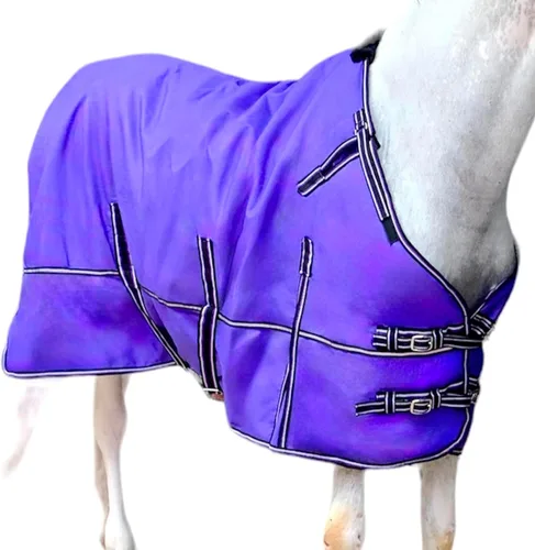 Vista 12 de Majestic Ally Manta 1200D Ripstop Horse Turnout de 250 GSM relleno (turquesa, 80 pulgadas)